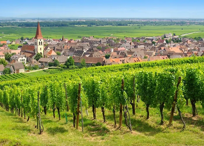 Goelia Le Domaine Du Golf 4* Ammerschwihr